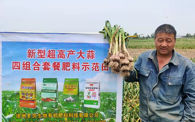 新型超高产大蒜四组合套餐肥料示范田