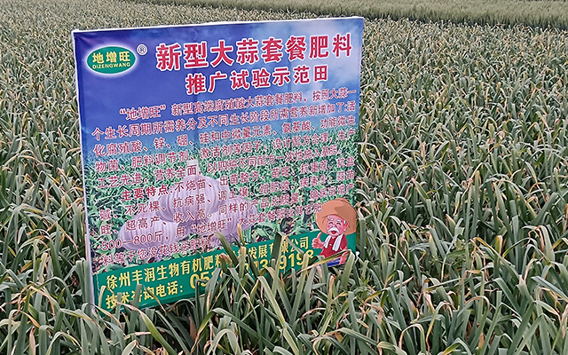 新型大蒜套餐肥料推广试验示范田
